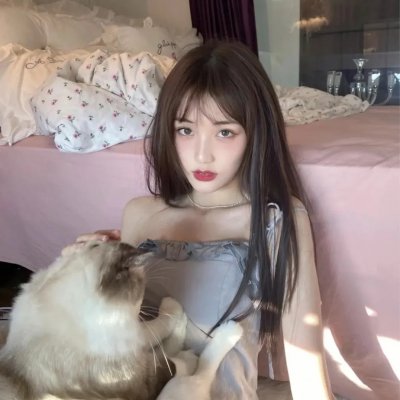 病态领土海报
